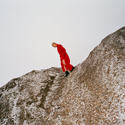 Cate Le Bon · Reward