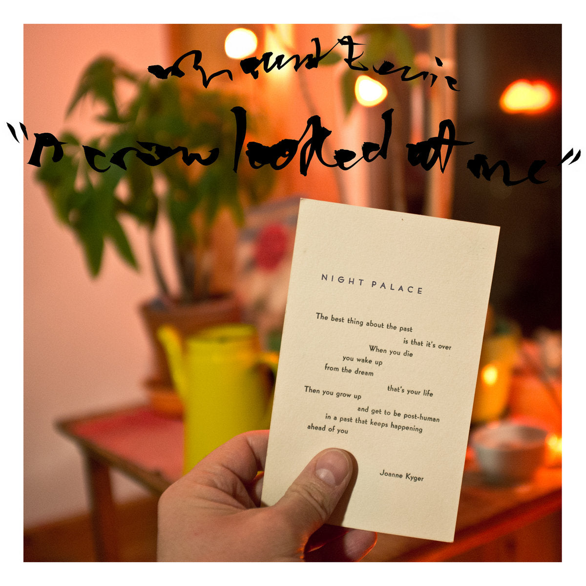 Mount Eerie · A Crow Looked At Me