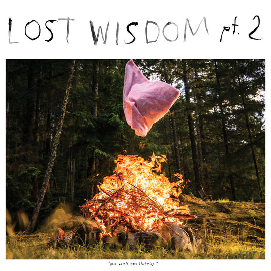 Mount Eerie · Lost Wisdom pt. 2