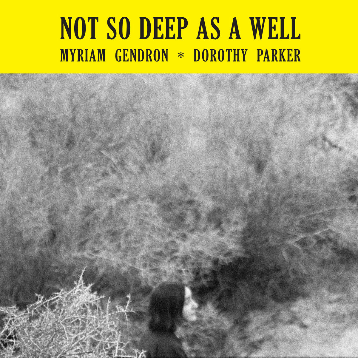 Myriam Gendron · Not So Deep As A Well