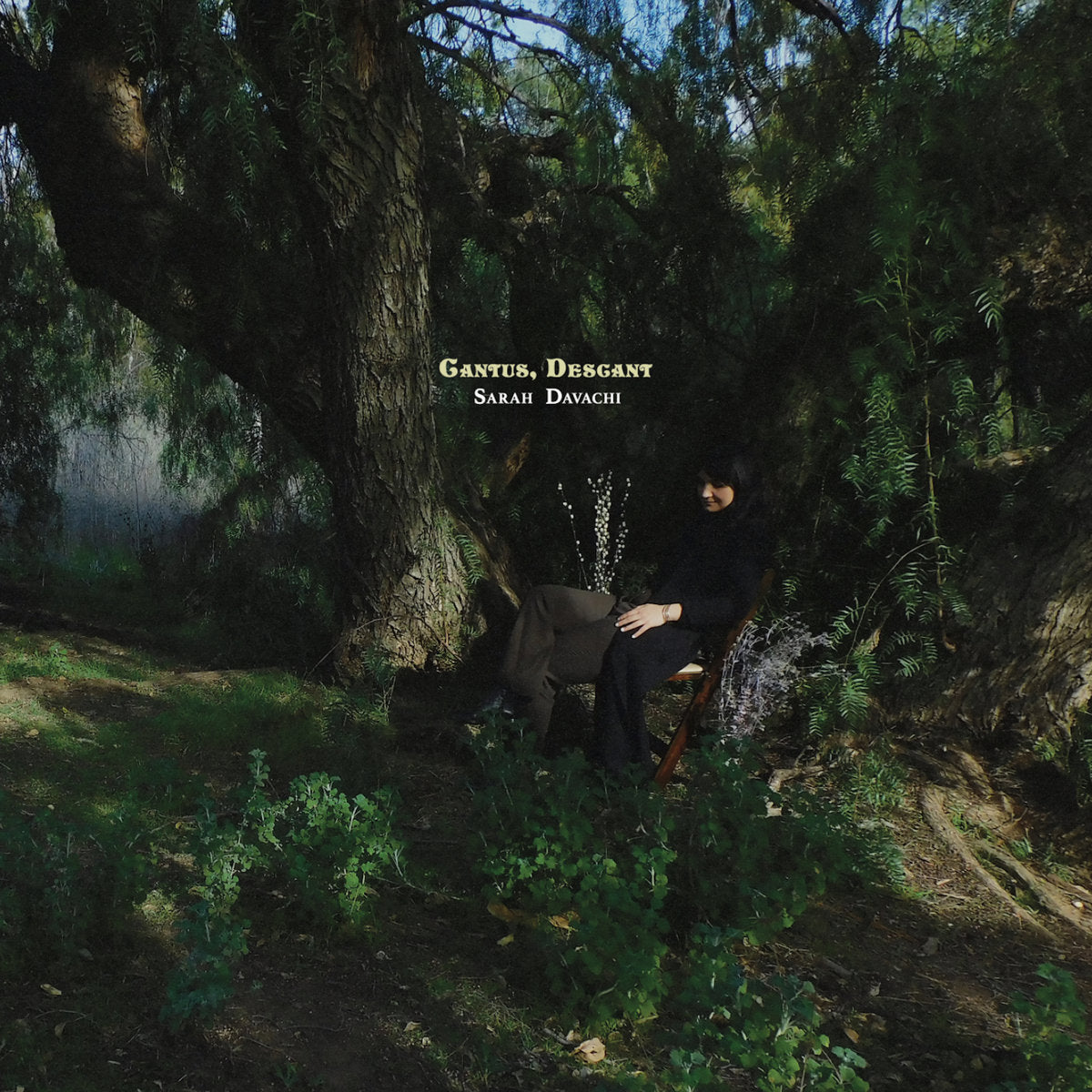 Sarah Davachi · Cantus, Descant