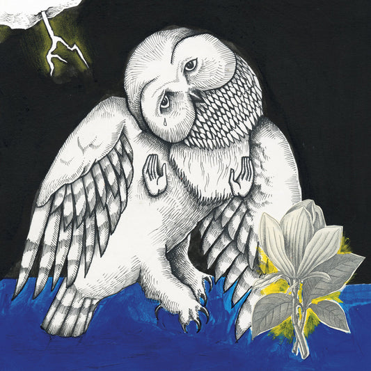 Songs: Ohia · The Magnolia Electric Co