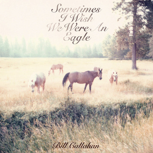 Bill Callahan · Sometimes I Wish We Were An Eagle