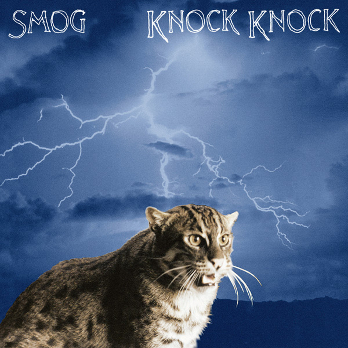 Smog · Knock Knock